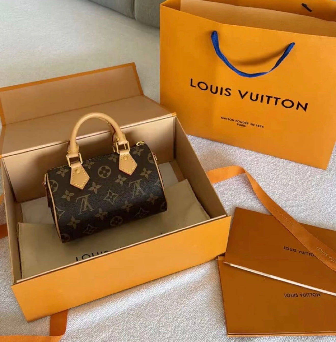 Sac Louis Vuitton