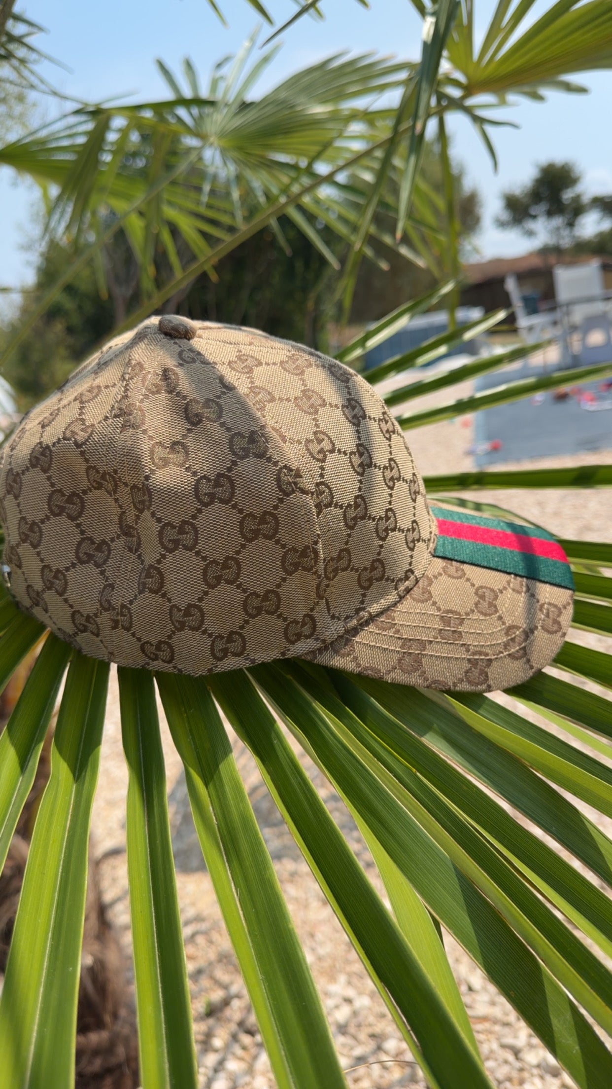 Casquette Gucci Beige Bande Couleur