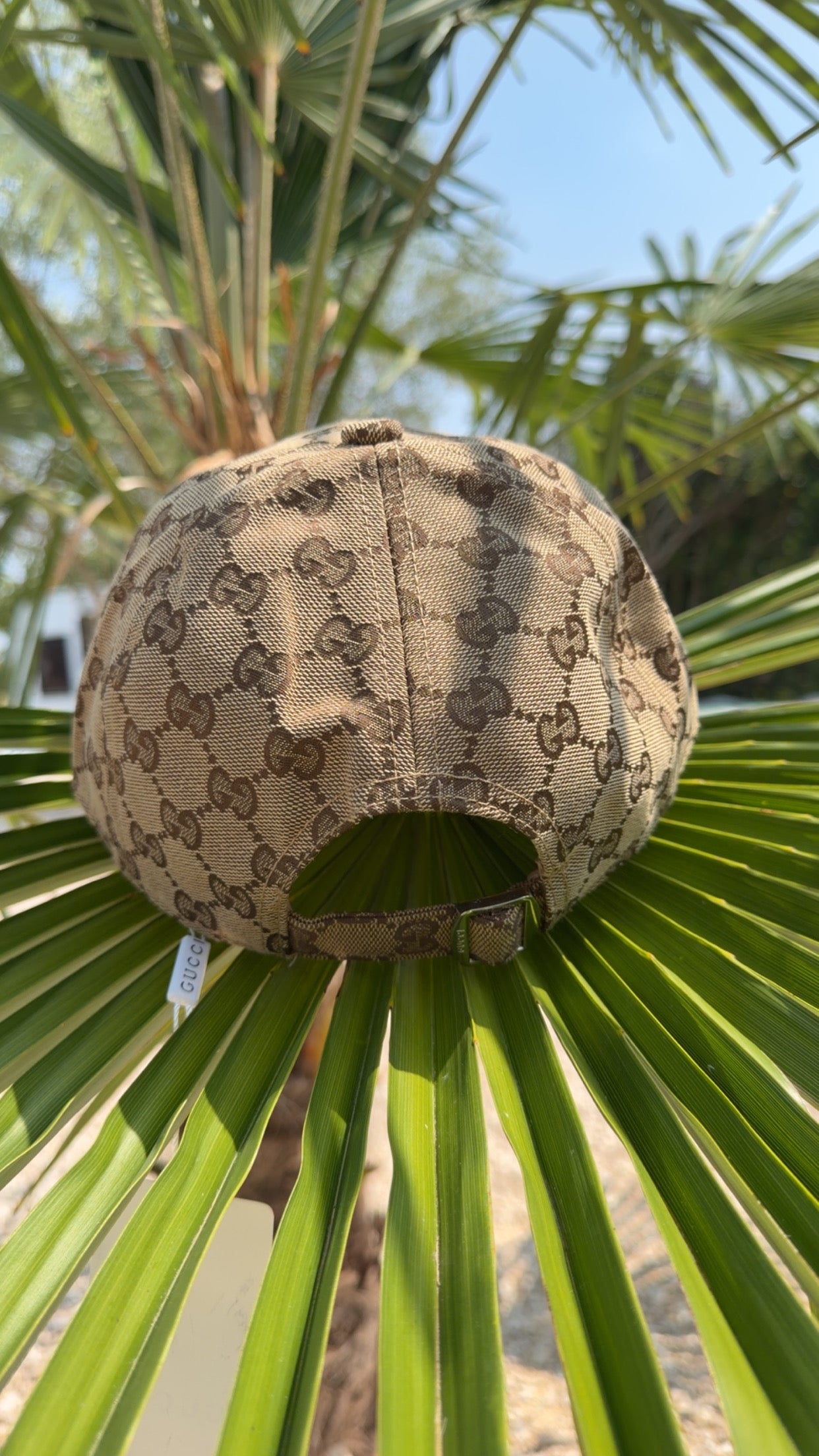 Casquette Gucci Beige Bande Couleur